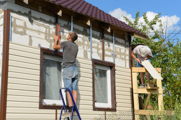 Best Siding for Multi-Family Homes  in Hamburg, IA